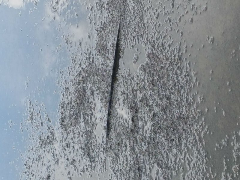 A close up of the side of a car with water on it